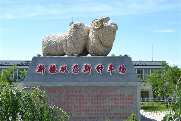 1731484323793533.jpg 圖1.jpg