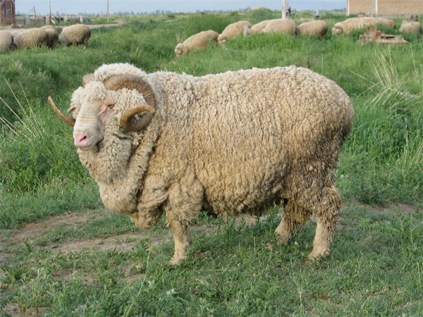 1731484332386711.jpg 圖2.jpg