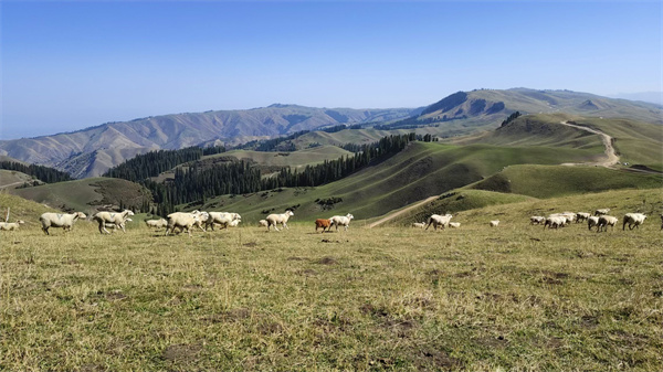 1731484519716726.jpg 圖2.jpg