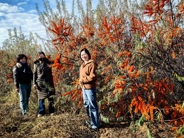 1732677878327944.jpg 圖2.jpg